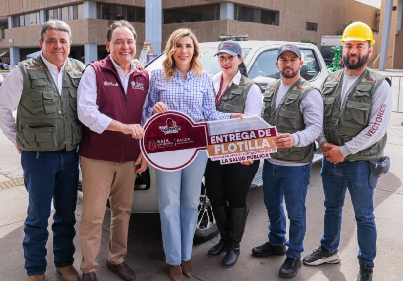 WhatsApp Image 2026-02-10 at 2.59.48 PM