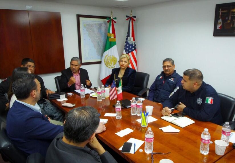 WhatsApp Image 2026-02-10 at 3.18.26 PM