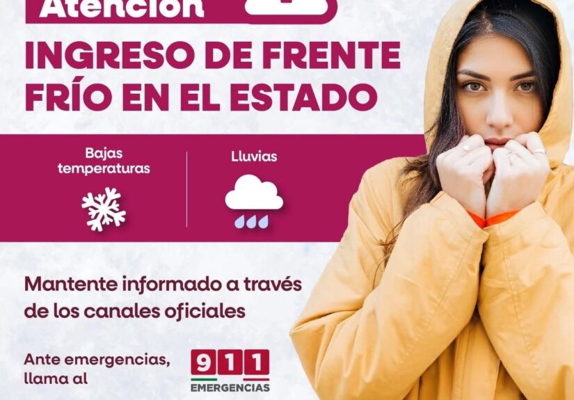 WhatsApp Image 2026-02-10 at 5.33.10 PM