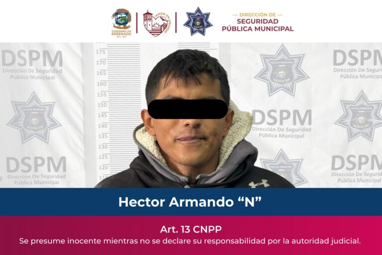 WhatsApp Image 2026-02-11 at 2.59.37 PM