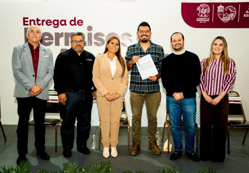 WhatsApp Image 2026-02-11 at 3.56.51 PM