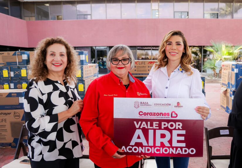 WhatsApp Image 2026-02-12 at 1.26.58 PM