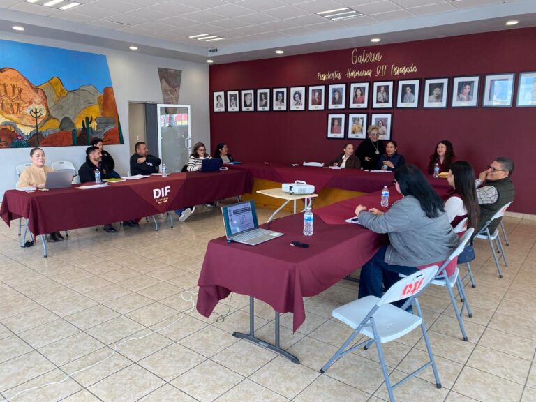 WhatsApp Image 2026-02-12 at 1.52.50 PM