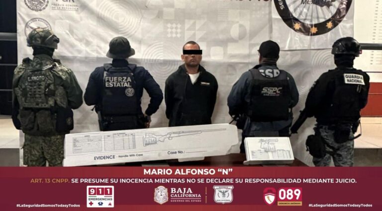 WhatsApp Image 2026-02-12 at 5.12.41 PM