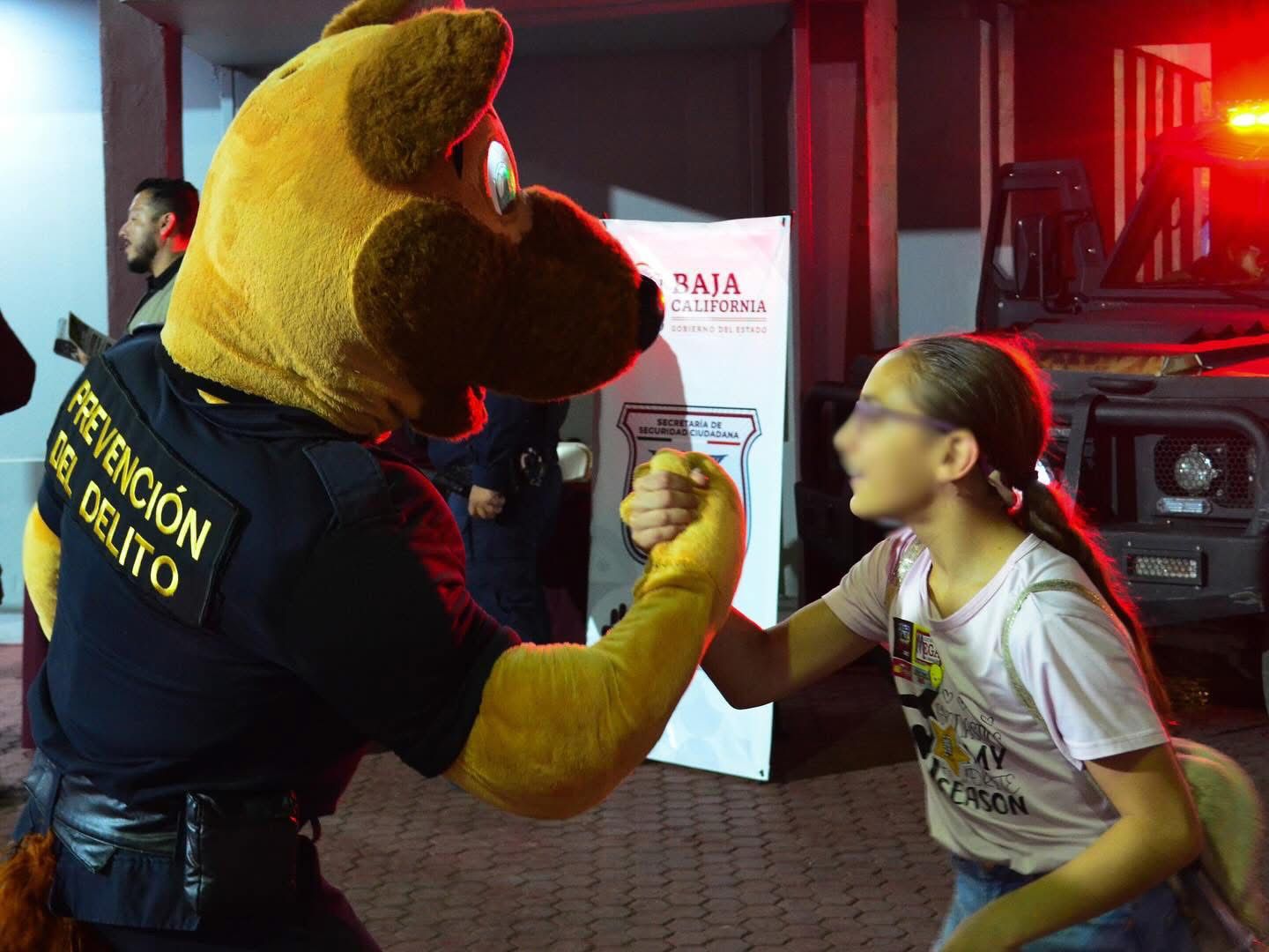 WhatsApp Image 2026-02-12 at 5.12.42 PM