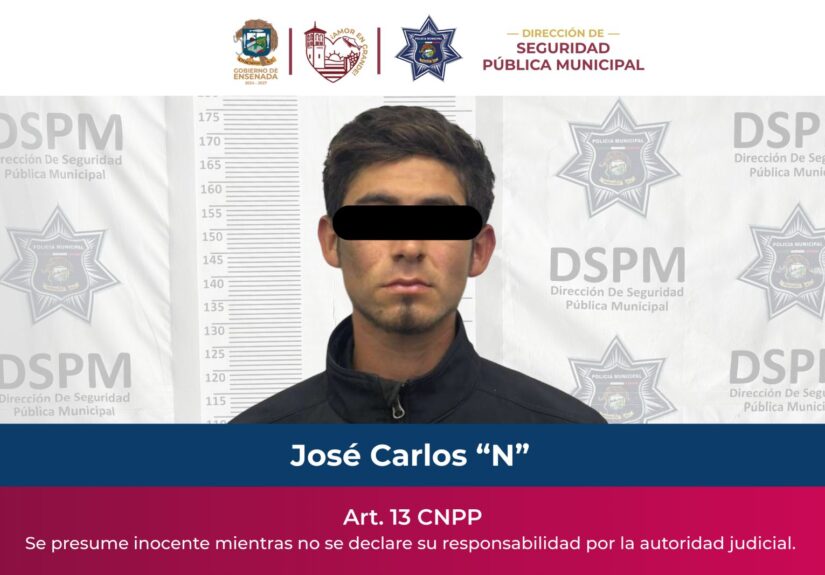 WhatsApp Image 2026-02-13 at 2.12.00 PM (1)