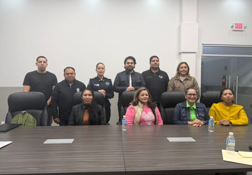 WhatsApp Image 2026-02-15 at 12.53.17 PM (1)