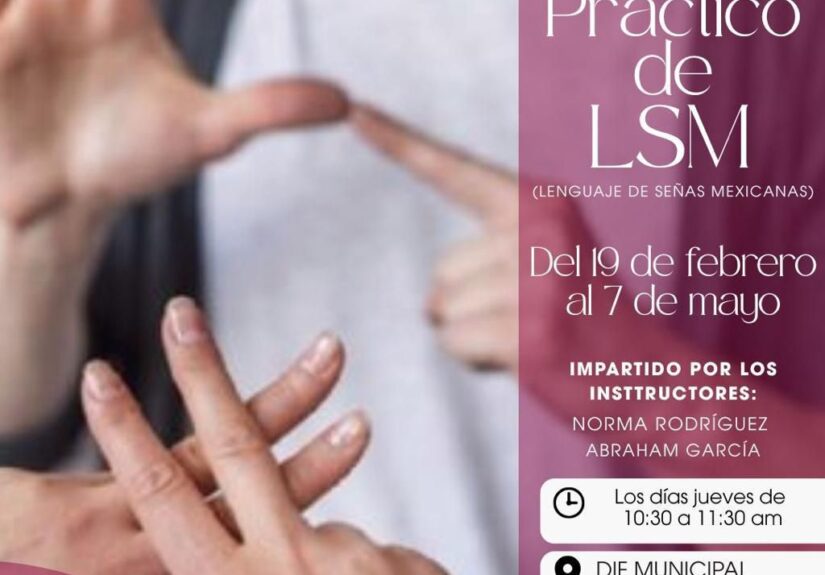 WhatsApp Image 2026-02-16 at 5.36.02 PM