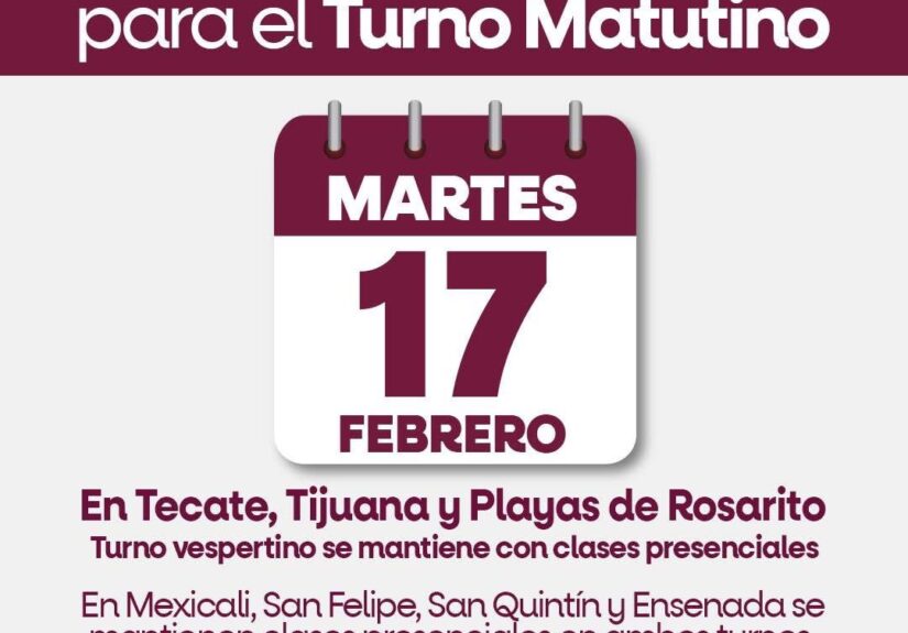 WhatsApp Image 2026-02-16 at 7.30.30 PM