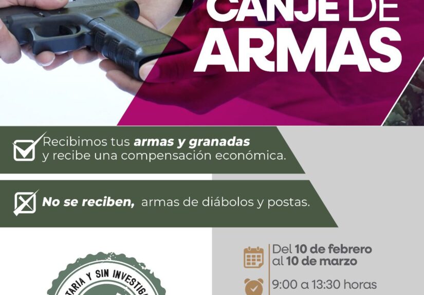 WhatsApp Image 2026-02-17 at 11.44.35 AM