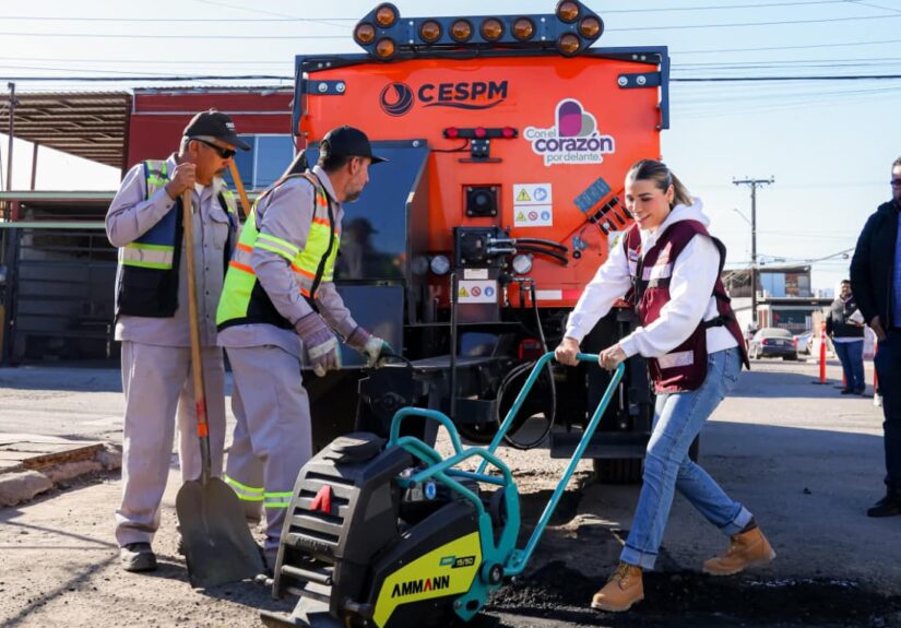 WhatsApp Image 2026-02-17 at 3.11.24 PM