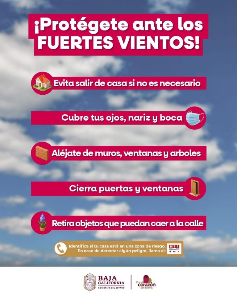 WhatsApp Image 2026-02-18 at 3.26.15 PM