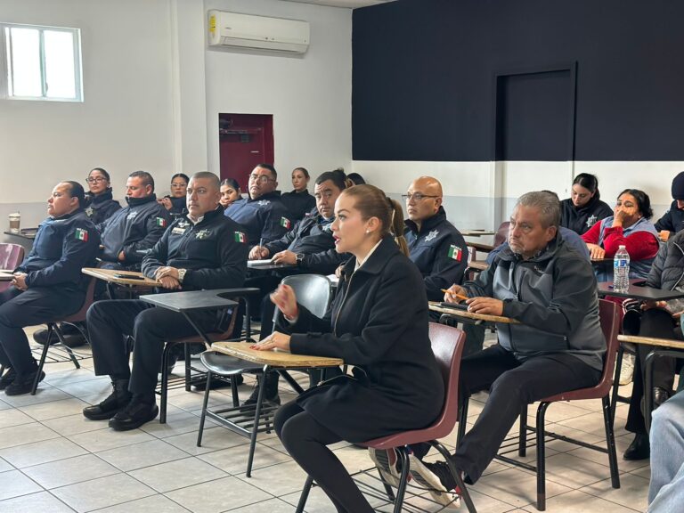 WhatsApp Image 2026-02-19 at 3.18.42 PM (1)