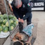 WhatsApp Image 2026-02-20 at 2.34.41 PM