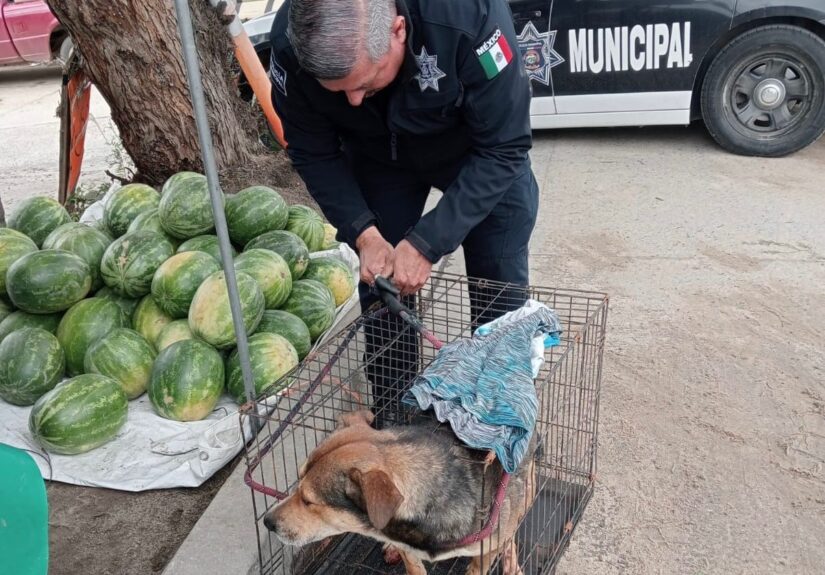 WhatsApp Image 2026-02-20 at 2.34.41 PM