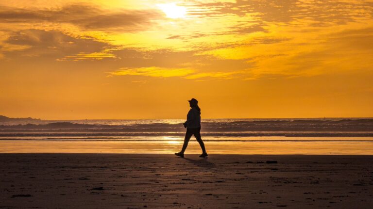 WhatsApp Image 2026-02-22 at 1.10.49 PM