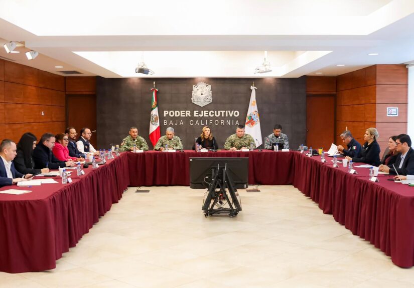 WhatsApp Image 2026-02-23 at 11.21.19 AM