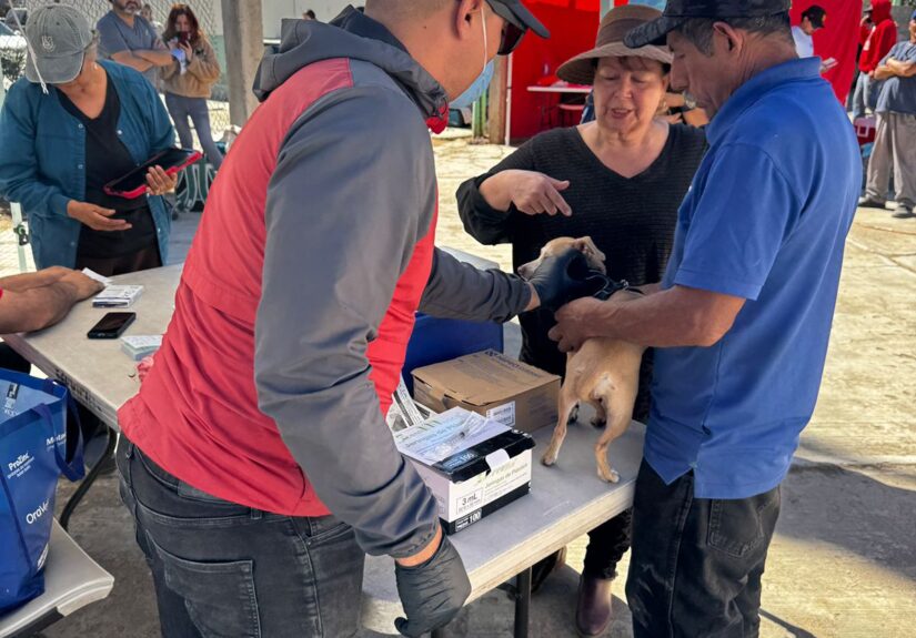 WhatsApp Image 2026-02-26 at 3.45.18 PM