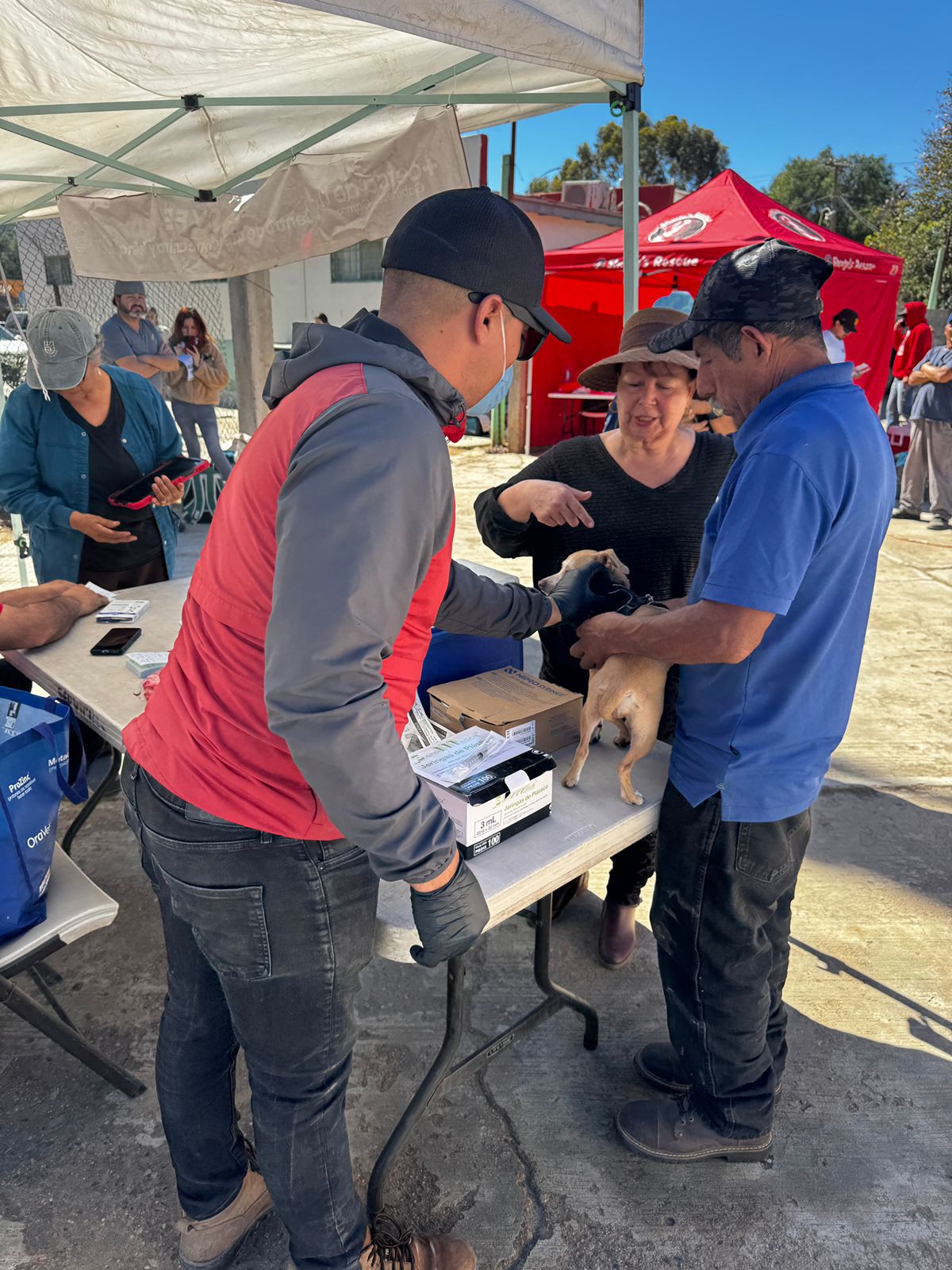 WhatsApp Image 2026-02-26 at 3.45.18 PM