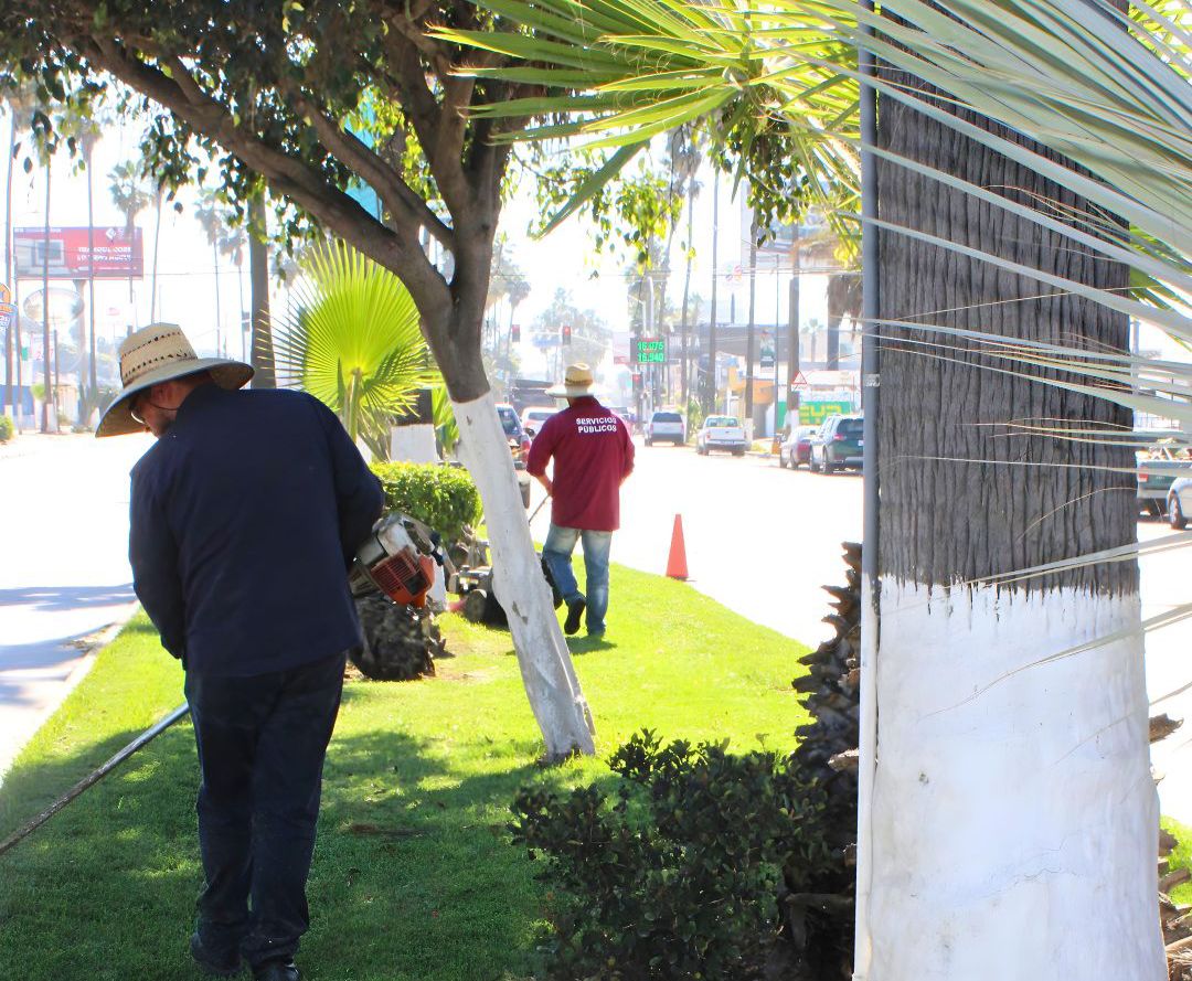 WhatsApp Image 2026-03-01 at 11.46.58 AM (1)