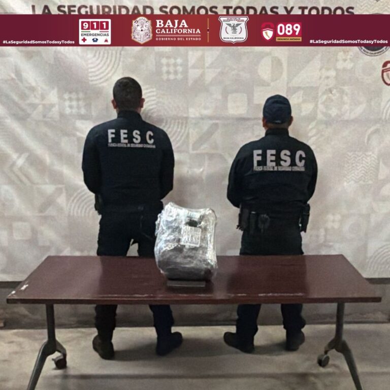 WhatsApp Image 2026-03-02 at 2.40.58 PM