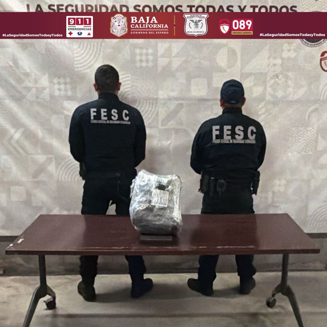 WhatsApp Image 2026-03-02 at 2.40.58 PM