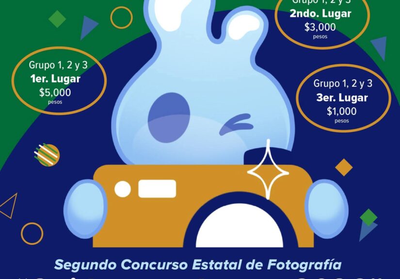 WhatsApp Image 2026-03-03 at 2.44.55 PM