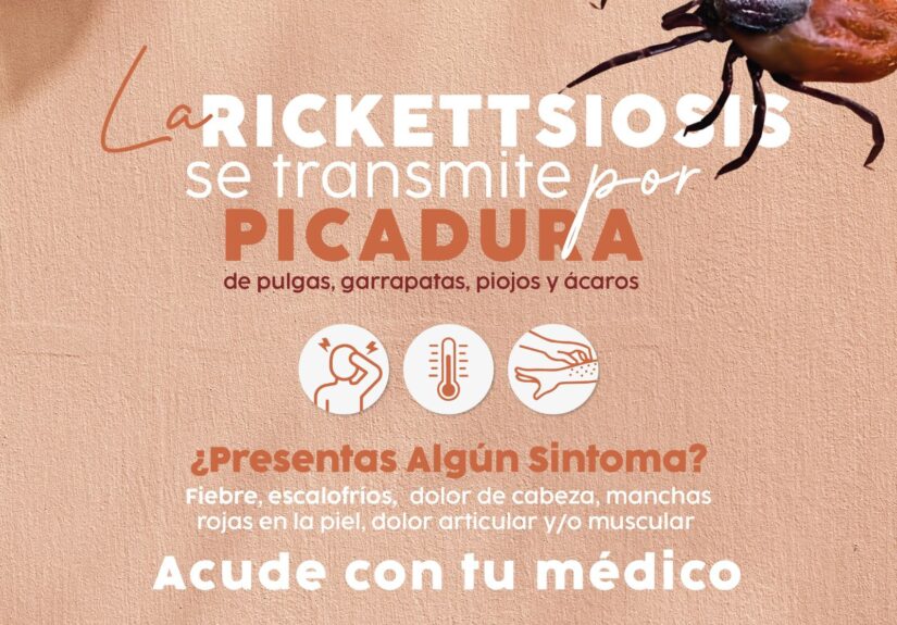 WhatsApp Image 2026-03-03 at 4.22.37 PM