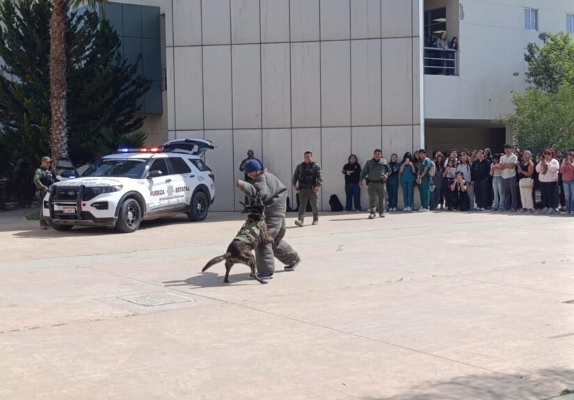 WhatsApp Image 2026-03-04 at 5.58.54 PM