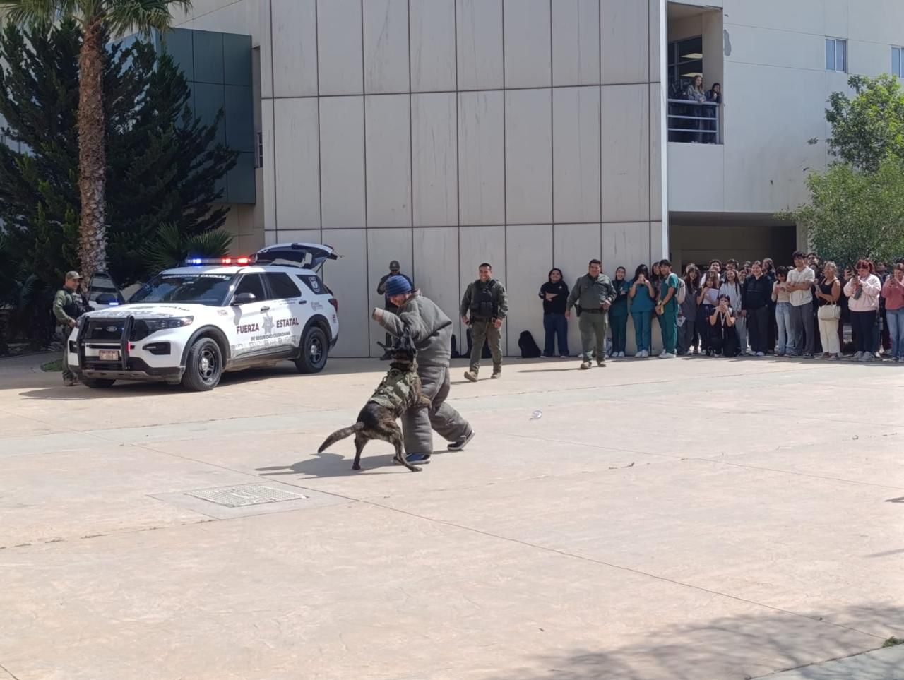 WhatsApp Image 2026-03-04 at 5.58.54 PM