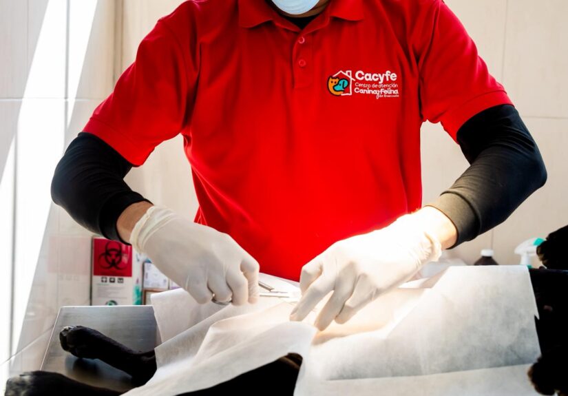 WhatsApp Image 2026-03-05 at 4.18.00 PM