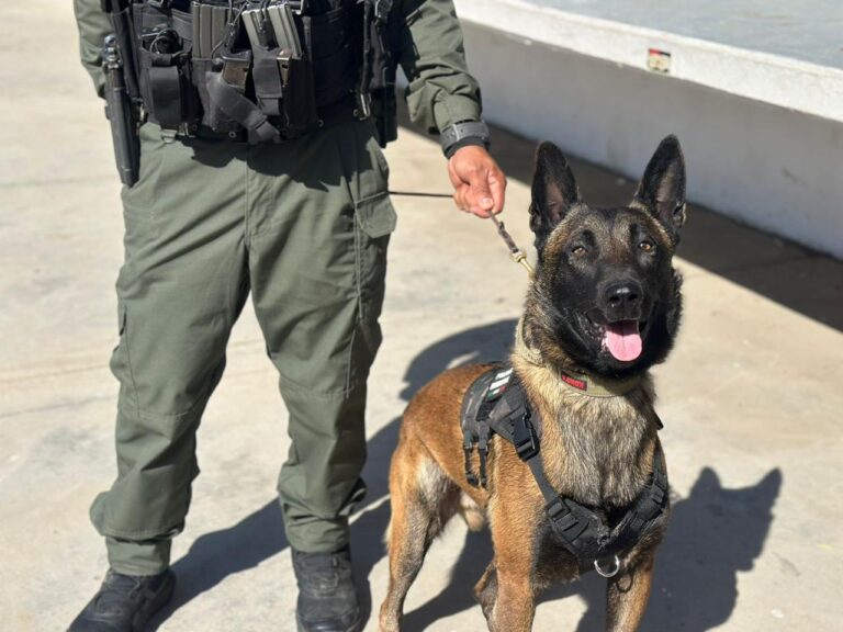 WhatsApp Image 2026-03-10 at 1.02.50 PM