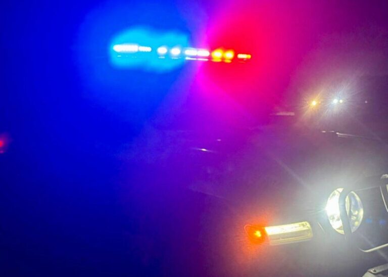 WhatsApp Image 2026-03-10 at 12.29.03 PM