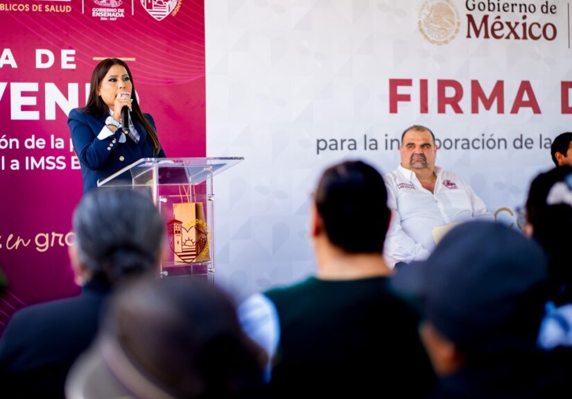 WhatsApp Image 2026-03-11 at 3.20.41 PM