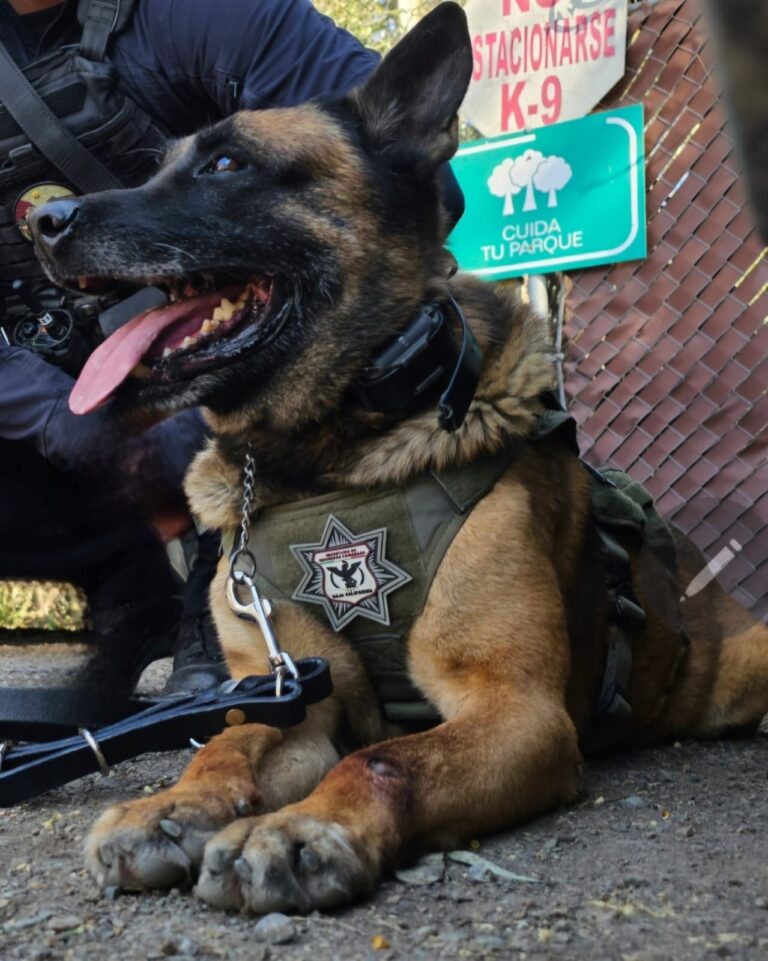 WhatsApp Image 2026-03-17 at 5.27.27 PM