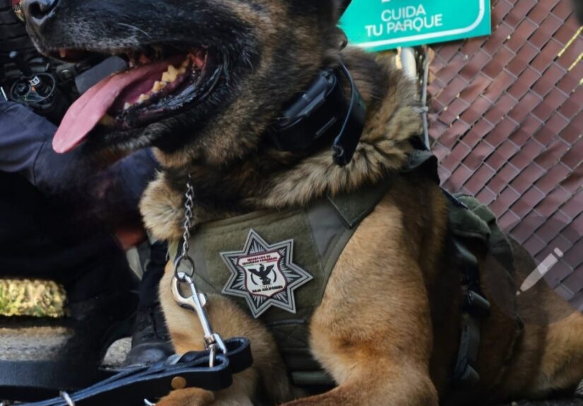 WhatsApp Image 2026-03-17 at 5.27.27 PM