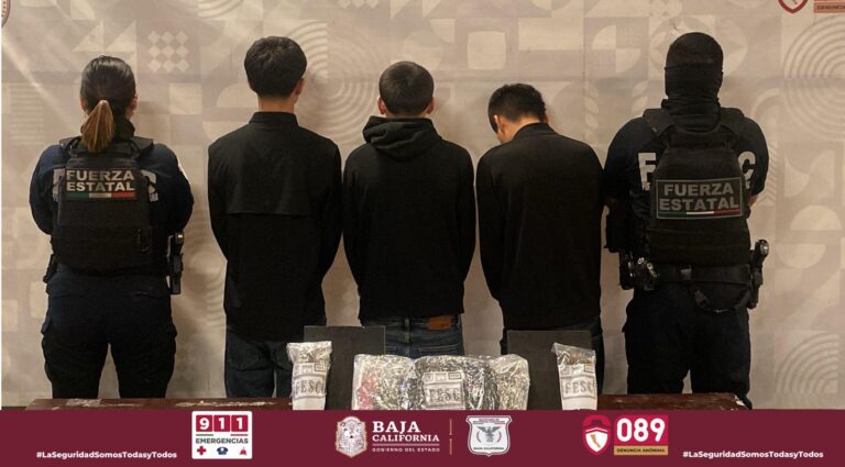 WhatsApp Image 2026-03-20 at 7.38.05 PM (2)