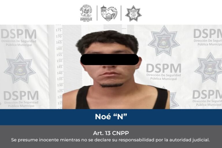 WhatsApp Image 2026-03-22 at 2.05.23 PM