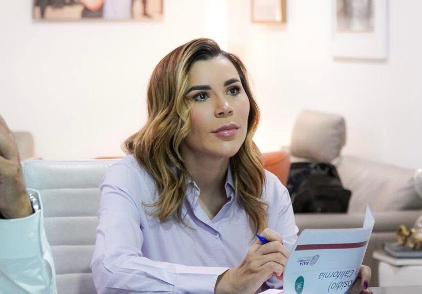 WhatsApp Image 2026-03-25 at 3.25.52 PM