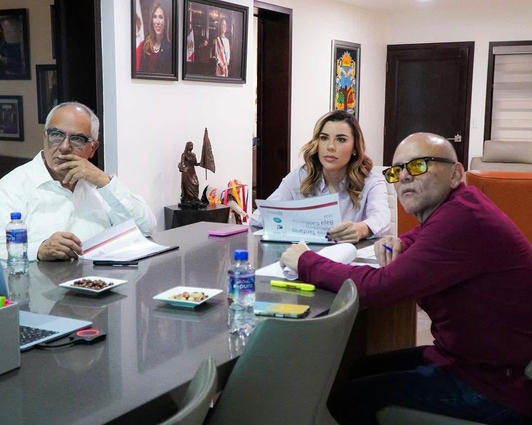 WhatsApp Image 2026-03-25 at 3.25.53 PM