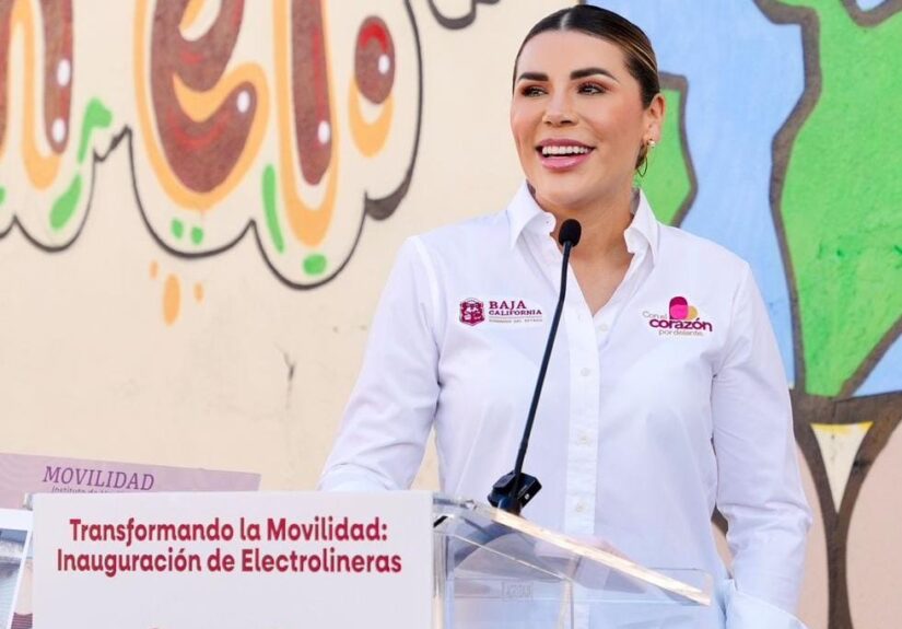 WhatsApp Image 2026-03-25 at 3.57.21 PM