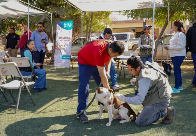 WhatsApp Image 2026-03-27 at 12.34.35 PM