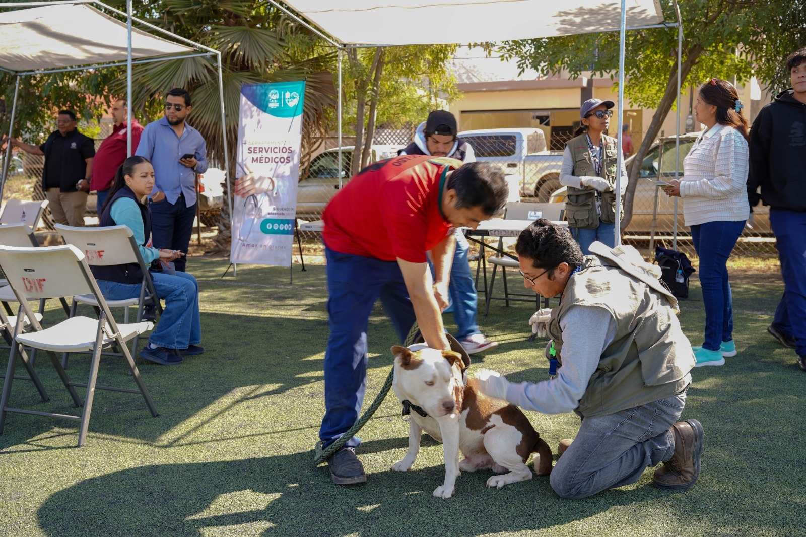 WhatsApp Image 2026-03-27 at 12.34.35 PM