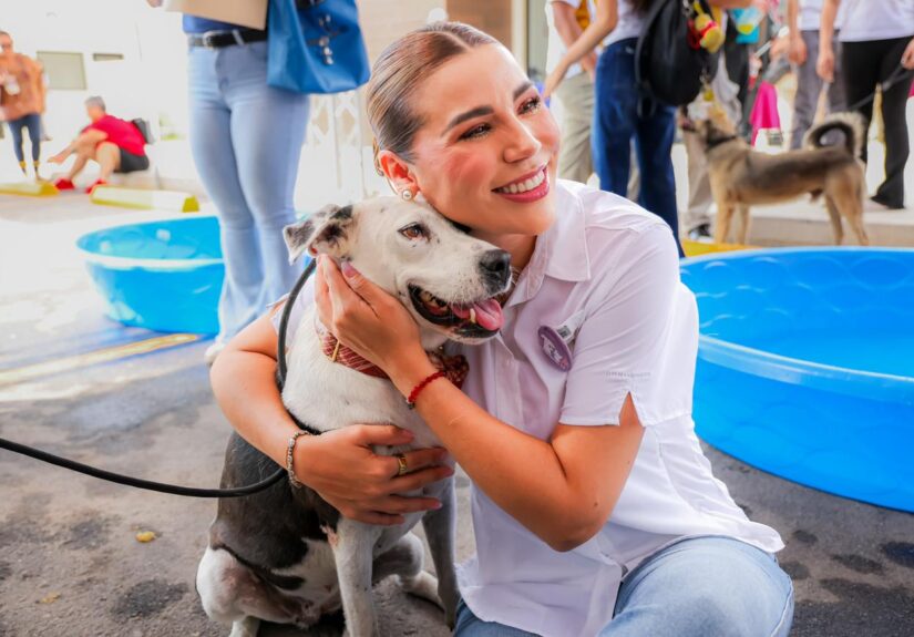 WhatsApp Image 2026-03-27 at 2.53.01 PM