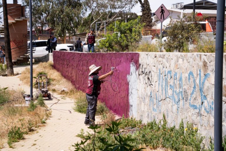 WhatsApp Image 2026-03-30 at 6.19.32 PM (2)