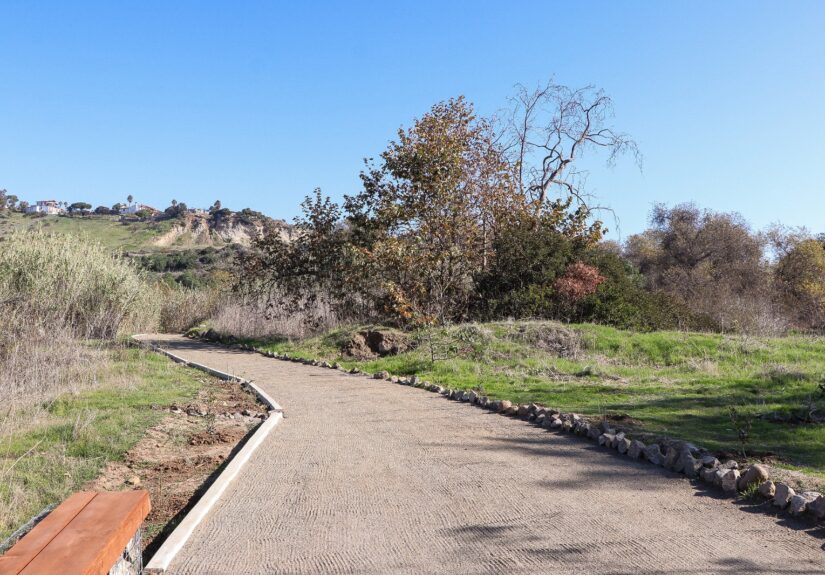 WhatsApp Image 2026-03-30 at 6.19.53 PM