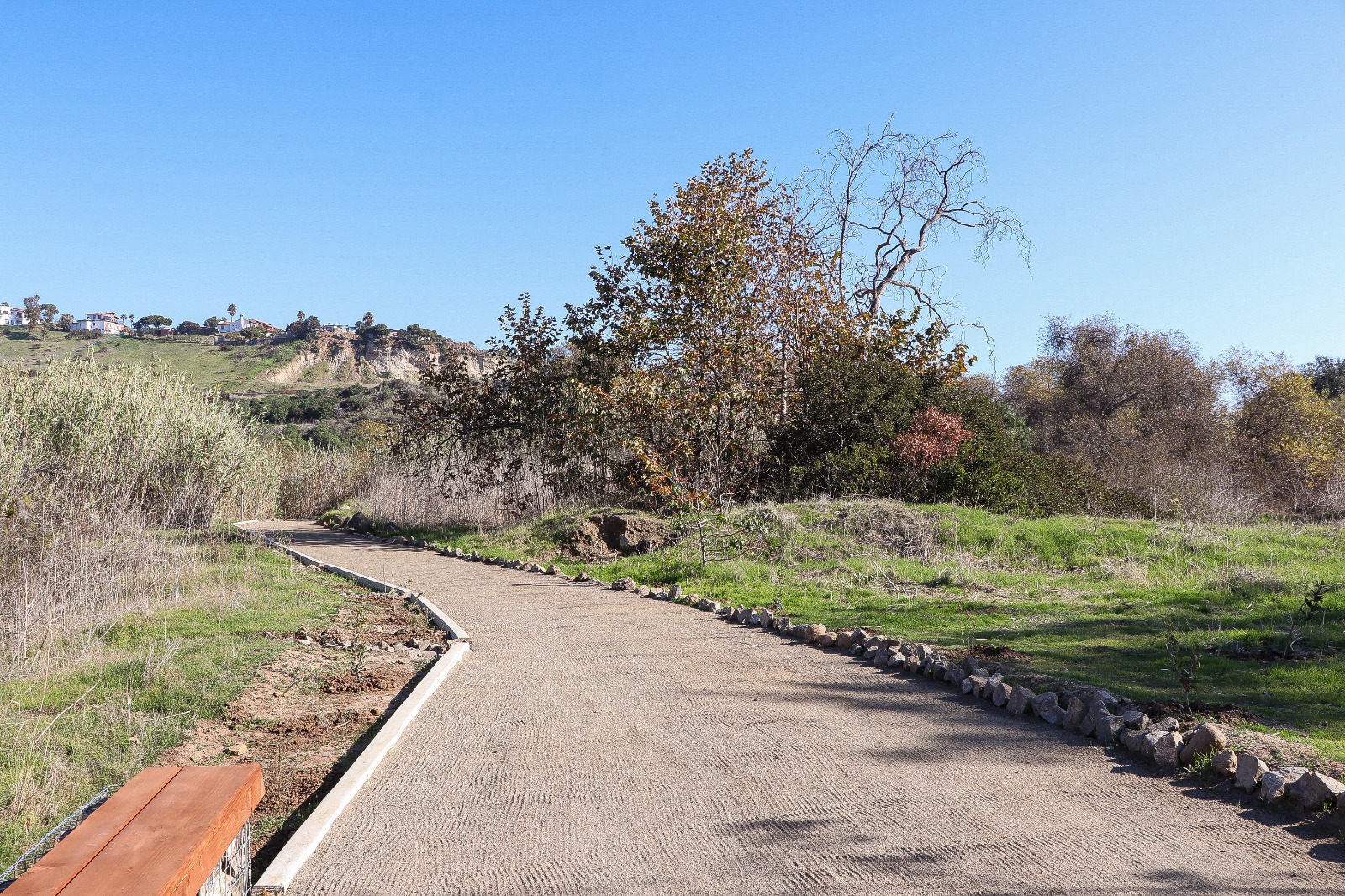 WhatsApp Image 2026-03-30 at 6.19.53 PM