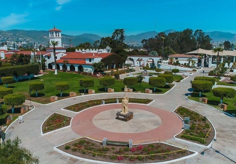 WhatsApp Image 2026-04-01 at 12.52.07 PM (1)