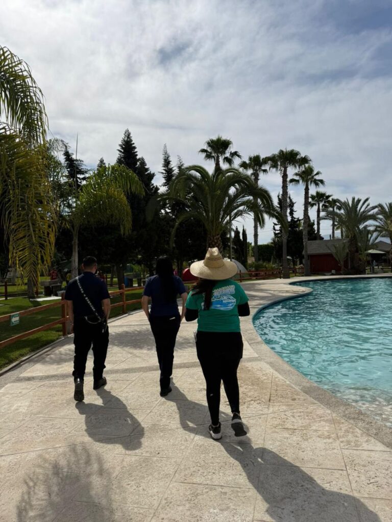 WhatsApp Image 2026-04-04 at 3.43.22 PM (1)