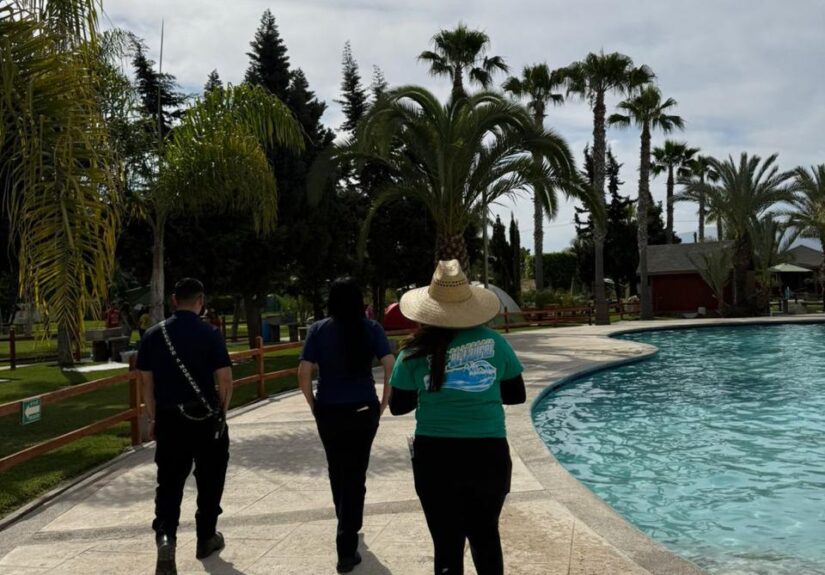 WhatsApp Image 2026-04-04 at 3.43.22 PM (1)